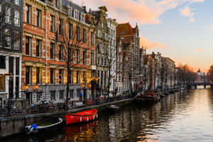 Spring In Amsterdam Wallpaper