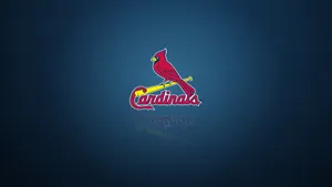 St Louis Cardinals One Red Bird Wallpaper