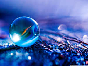 Standard Water Bubble Close-up Wallpaper