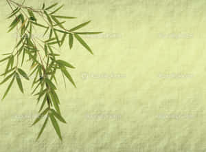 Standing Tall Against The Elements – A Chinese Bamboo Wallpaper