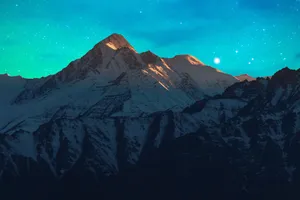 Standing Tall And Proud, A Majestic Saguaro Cactus Grows In A Hot Desert Wallpaper