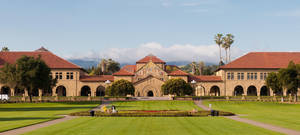 Stanford University Vast Oval Wallpaper