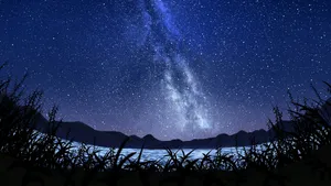 Star Sky With Grass Silhouette Wallpaper