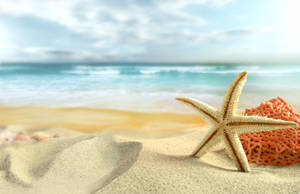 Starfish On White Sand Wallpaper