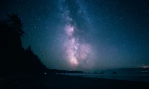 Starry Night Over A Calm Shore Wallpaper