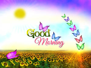Start The Day With A Good Morning Amongst Nature Wallpaper