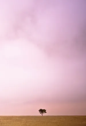 Stay Connected With Tumblr's Latest Smartphone Wallpaper