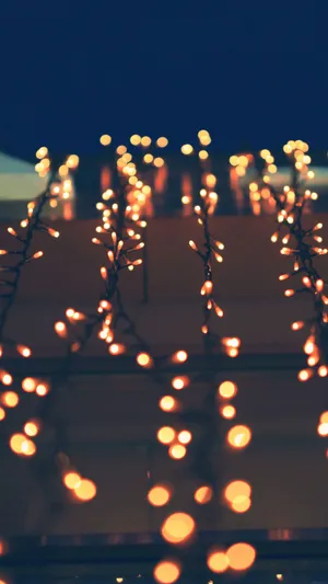 Stay Cozy With An Iphone Wallpaper