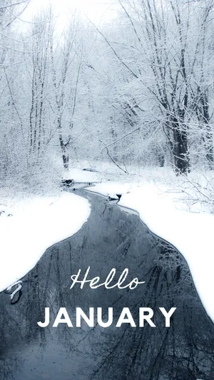 Stay Organized In The New Year With January Phone Wallpaper