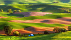 Steptoe Butte State Park Green Hills Wallpaper