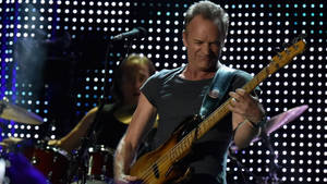 Sting Guitar Concert Wallpaper