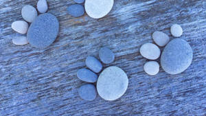 Stone Crafted Paw Prints On A Trail Wallpaper
