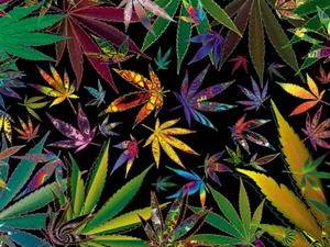 Stoner Background Weed Aesthetic Wallpaper