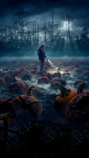 Stranger Things Merrill's Pumpkin Patch Wallpaper