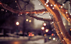 Street Christmas Lights Wallpaper