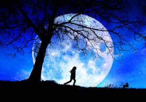 Strolling Past The Moon Night Sky Wallpaper