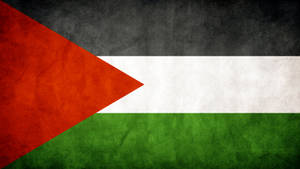 Strong And Resilient - The Textured Flag Of Palestine Wallpaper