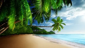 Stunning Beach Scenes Desktop Wallpaper
