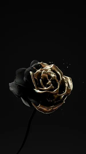 Stunning Black And Gold Aesthetic Wallpaper
