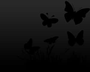 Stunning Dark Butterfly On A Mysterious Night Wallpaper