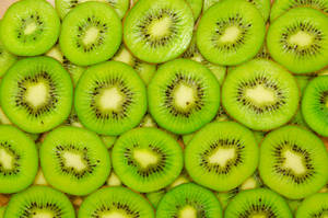 Succulent Kiwi Slice Layers Wallpaper