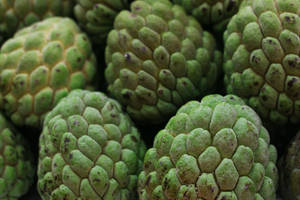 Sugar Apple Edible Fruit Wallpaper