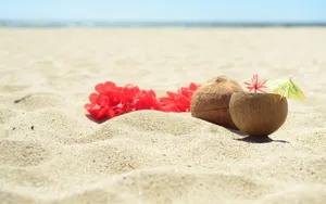 Summer Coconut Shake Wallpaper