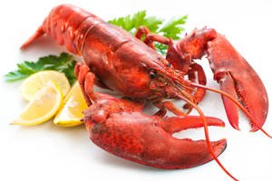 Sumptuous Lobster With Lemon Wedges Wallpaper