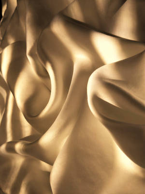 Sun-kissed Brown Silk Wallpaper