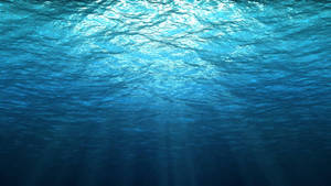 Sunlight Rippling On The Surface Of Crystal-clear Waters Wallpaper