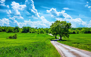 Sunny Countryside Road Landscape.jpg Wallpaper