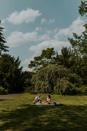 Sunny Day Picnicin Park Wallpaper