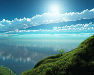 Sunny Lakeside Hillside View Wallpaper