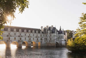 Sunny Sky Chenonceau Wallpaper