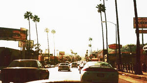 Sunset Boulevard Blinding Sun Wallpaper