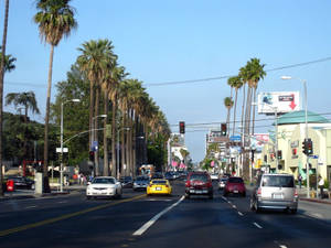 Sunset Boulevard Daytime Wallpaper