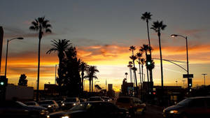 Sunset Boulevard Orange Horizon Wallpaper