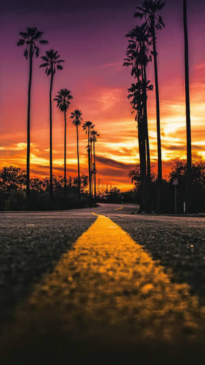 Sunset Boulevard Road Portrait Wallpaper