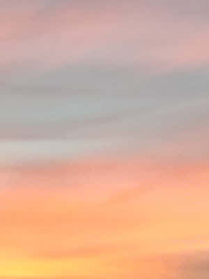 Sunshine And Sweetness Wallpaper