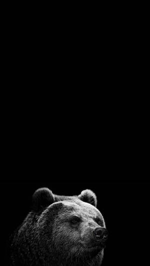 Super Amoled Bear Head Wallpaper