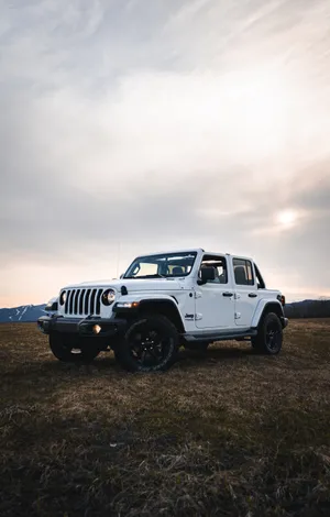 Super White Wrangler Jeep Wallpaper