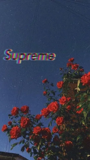 Supreme Aesthetic Nighsky Wallpaper