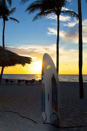 Surfboard Palm Trees Wallpaper
