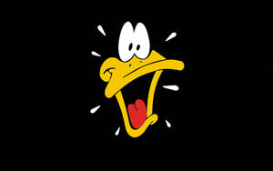 Surprised Daffy Duck Head Wallpaper