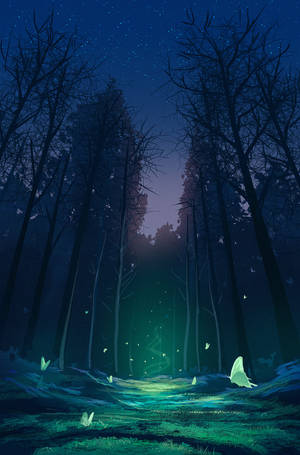 Surrounded By Magic In The Forest Wallpaper