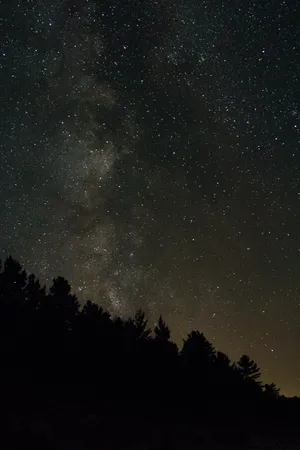 Surrounded By The Beauty Of The Night Sky Wallpaper