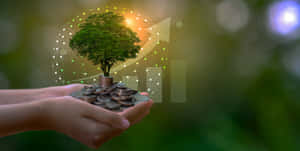 Sustainability Tree In Hand Wallpaper