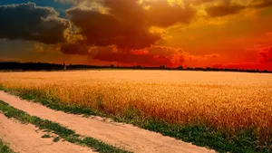 Sustainable And Cool Farming Wallpaper