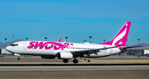 Swoop Airlines Airbus On The Runway Wallpaper