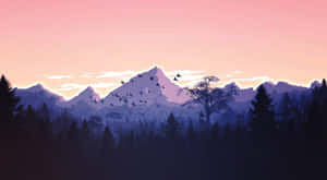 Take A Hike And Enjoy Nature's Beauty. Wallpaper